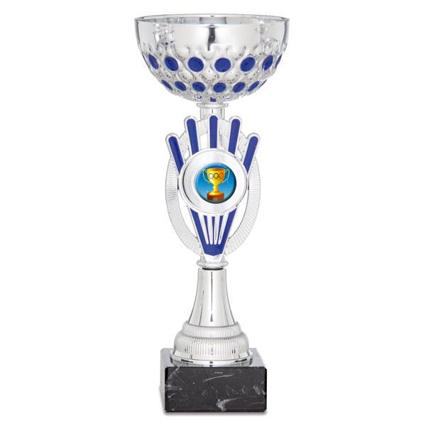 Coupe bicolore argent et bleu