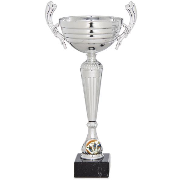 Silver cup with handles