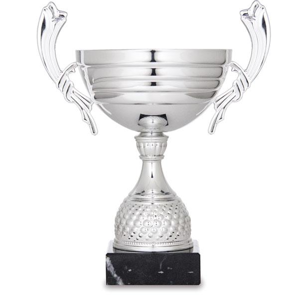 Silver cup with handles
