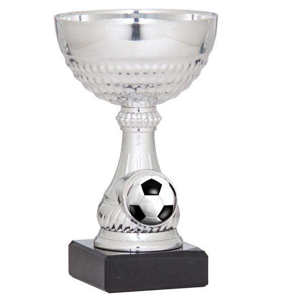 Coupe porte-disques argentée