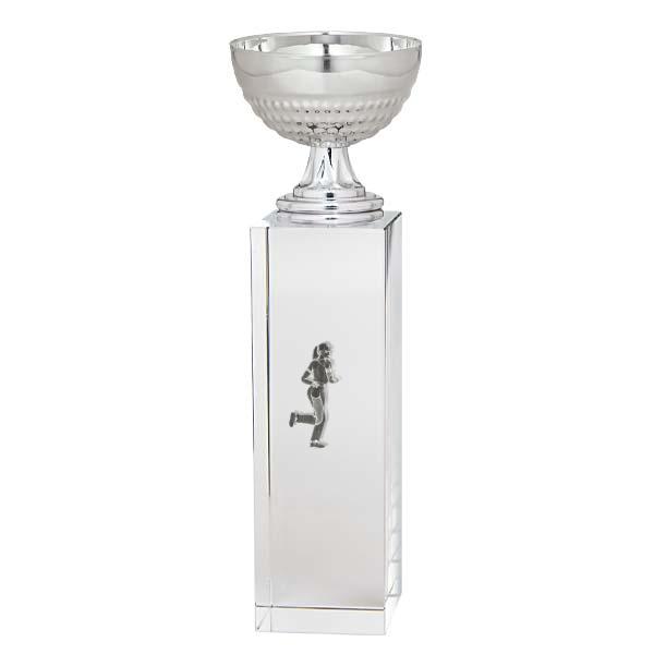Coupe sur cube de verre