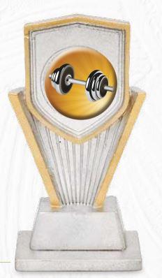 Trofeo porta dischi